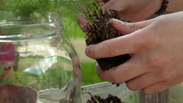 Person making terrarium. Group of people at outdoor florarium training and seminar. Self-sustaining micro garden ecosystem. People learning to create terrariums. Zen meditation hobby. Creative meetup.