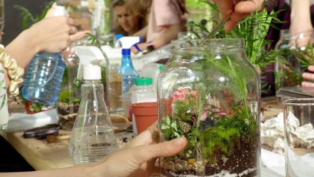 Person making terrarium. Group of people at outdoor florarium training and seminar. Self-sustaining micro garden ecosystem. People learning to create terrariums. Zen meditation hobby. Creative meetup.