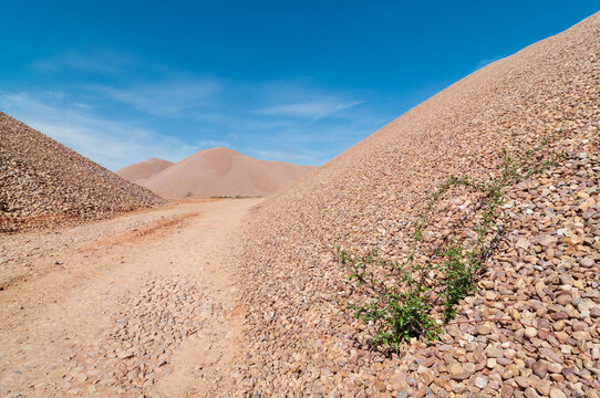 Vista de una gravera con camino, piedras y una planta creciendo.