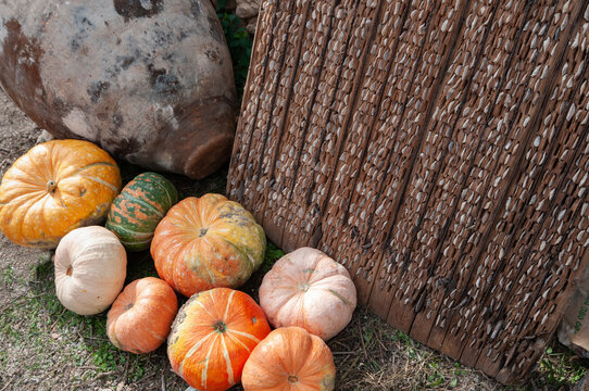 Escena rural con trillo, tinaja y calabazas.