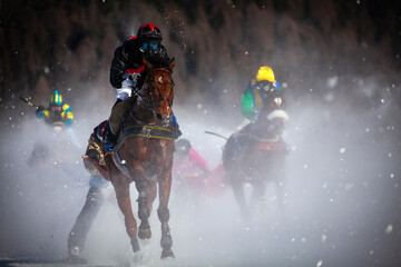 horse race on frozen lake in Engadine, Switzerland - 597216888