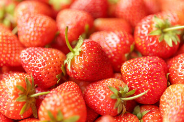 Fresh organic red strawberry fruit background
