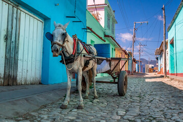 Horse-drawn carriage in the alleys and historic districts of Trinidad with the San Francisco de Asis church