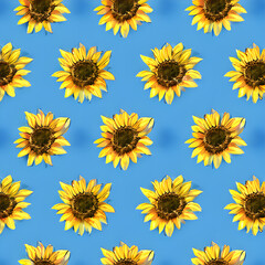Sunflower seamless pattern. Yellow daisy on off white background. Perfect ornament for fashion fabric or other printable covers.