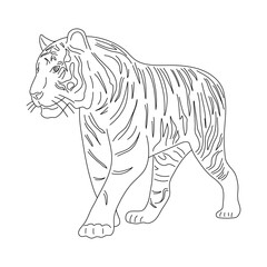 Obraz premium Tiger in line art drawing style. Vector illustration.
