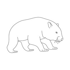 Wombat in line art drawing style. Vector illustration.
