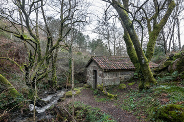 Molinos del río Couso, en Ponteareas (Galicia, España)