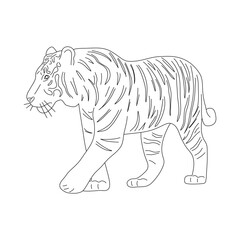 Sketch of Tiger. Hand drawn vector illustration.
