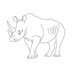 Sketch of Rhinoceros. Hand drawn vector illustration.