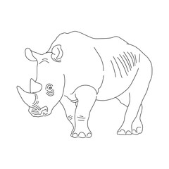 Rhinoceros in line art drawing style. Vector illustration.