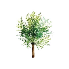 Watercolor tree hand draw vector nature painting