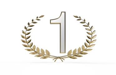 3d award first winner - one year  - PNG transparent