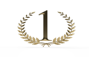 3d award first winner - one year  - PNG transparent