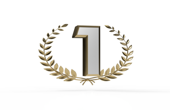 3d award first winner - one year - PNG transparent