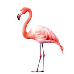 Fotobehang Flamingo bird animal. Generative AI © Daria