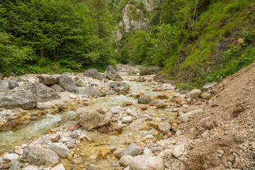 View on an alpine river with clear water and rocks, boulders in the water and on the river banks. Trees are growing at the riverbanks. Almbachklamm, Germany