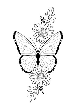 butterfly illustration tattoo 