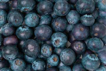 Fresh blueberries: The ultimate summer snack.
