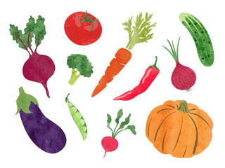 Set of watercolor vegetables. Vector illustration