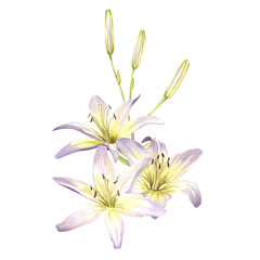 White lilies. Watercolor illustrations of delicate white flowers. Clipart for design save the date, wedding invitations, stickers, banners, blog decor, greeting cards.
