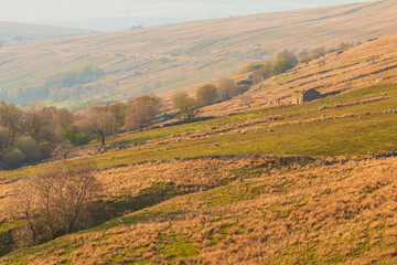 Fototapeta premium View of the hills at sunset in North UK. Sedbergh, Cumbria. UK.