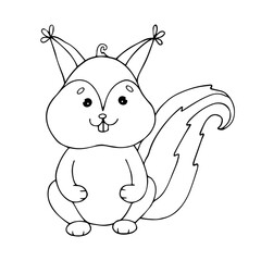 Linear sketch, coloring of a small squirrel.Vector graphics.