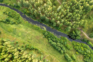 aerial view of the forest landscape, coniferous trees and deciduous