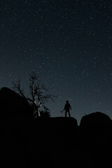Night Sky Image of a Gold Miner With a Tree - 597247284