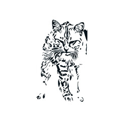 Fototapeta na wymiar black and white sketch of a cat with a transparent background
