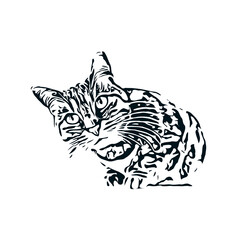 Fototapeta na wymiar black and white sketch of a cat with a transparent background