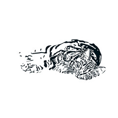 black and white sketch of a cat with a transparent background