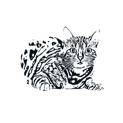 black and white sketch of a cat with a transparent background