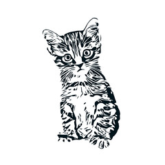 black and white sketch of a cat with a transparent background