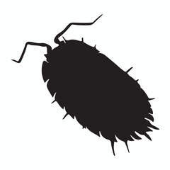 Woodlouse silhouettes and icons. Black flat color simple elegant Woodlouse animal vector and illustration.