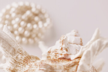 Obraz na płótnie Canvas beautiful pearl beads on a seashell