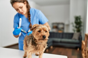 Young beautiful hispanic woman veterinarian vaccinating dog at home