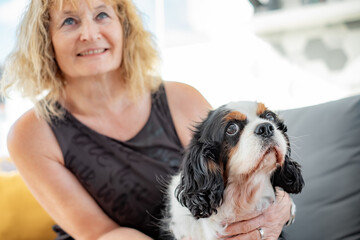 Portrait of cute dog cavalier king charles spaniel sitting at home with his female owner