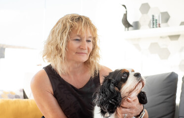 Portrait of cute dog cavalier king charles spaniel sitting at home with his female owner