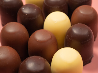 Chocolate covered marshmallow on a pink background.