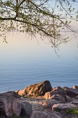 Bank of river with rocks