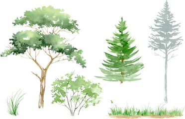 Vector watercolor  tree side view isolated on white background, Forest trees illustration EPS, Green pine, blue spruce, lush ash, beige bush, Set of hand drawn trees