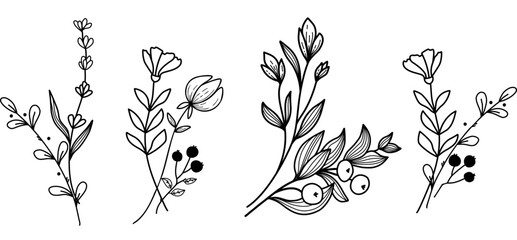 Black branches silhouettes, Flat vector floral graphic, minimal botanical graphic sketch drawing, thin floral botanical line art. Vector illustration, minimal elements