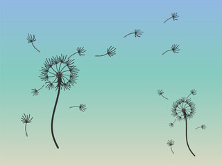 Abstract background dandelion design for decoration design.