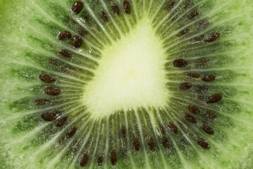 dettaglio di un bellissimo kiwi di colore verde intenso, macro di un kiwi.