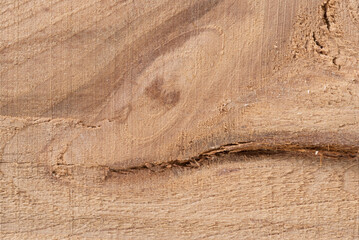 sfondo creato con legno di faggio, background con legno