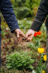 Elderly man and woman gardeners hold hands tightly while standing outdoors in a garden in nature. Photography, concept of eternal love, portrait of aging people.