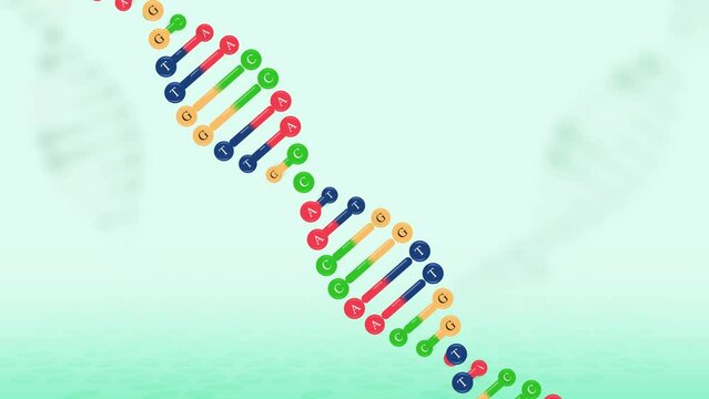 The Structure of DNA Molecule and Genetic Information, Spiral Deoxyribonucleic acid DNA, With multiple shots, with background