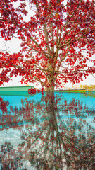 Fototapety na wymiar - Fototapeta24.pl