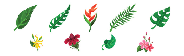 Tropical Foliage with Exotic Plant Green Leaf and Flower Vector Set