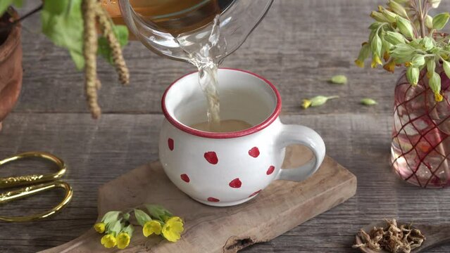 Pouring herbal tea into a ceramic cup, with fresh primula flowers in the foreground